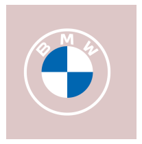 BMW STYLE
